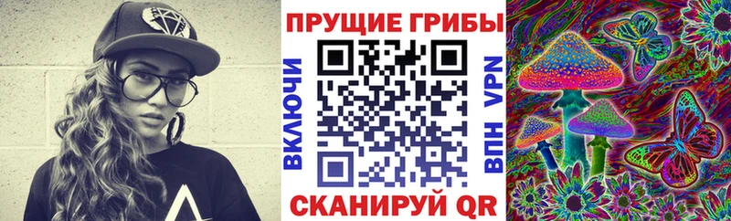 Псилоцибиновые грибы прущие грибы  ОМГ ОМГ ONION  дарк нет клад  где купить наркоту  Юрьевец 