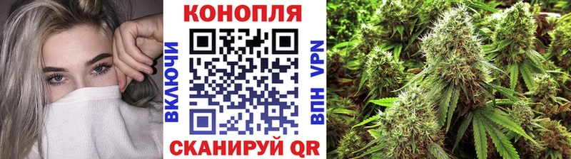 где можно купить   Юрьевец  Конопля Amnesia 